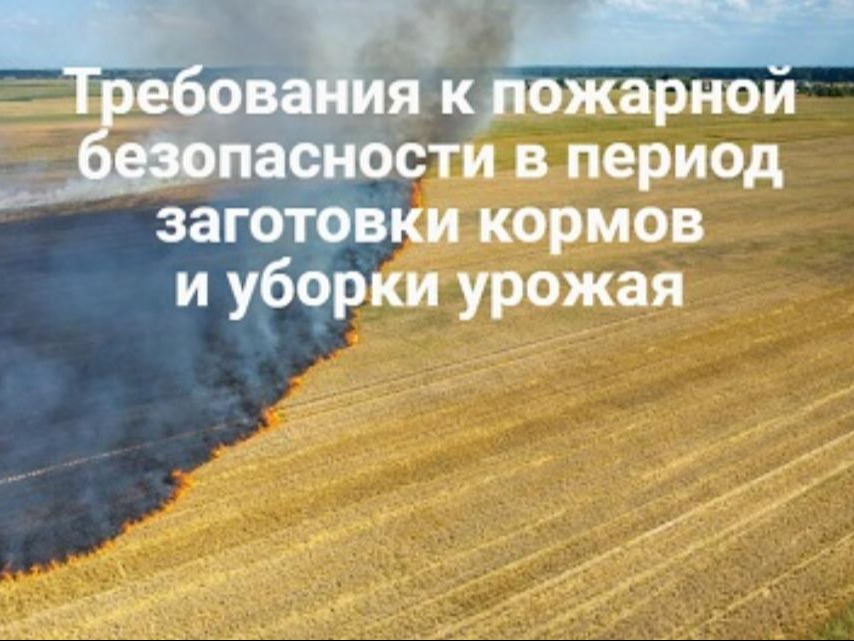 Пожарный надзор напоминает: берегите урожай от огня!.